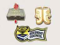 Scholastic Pins