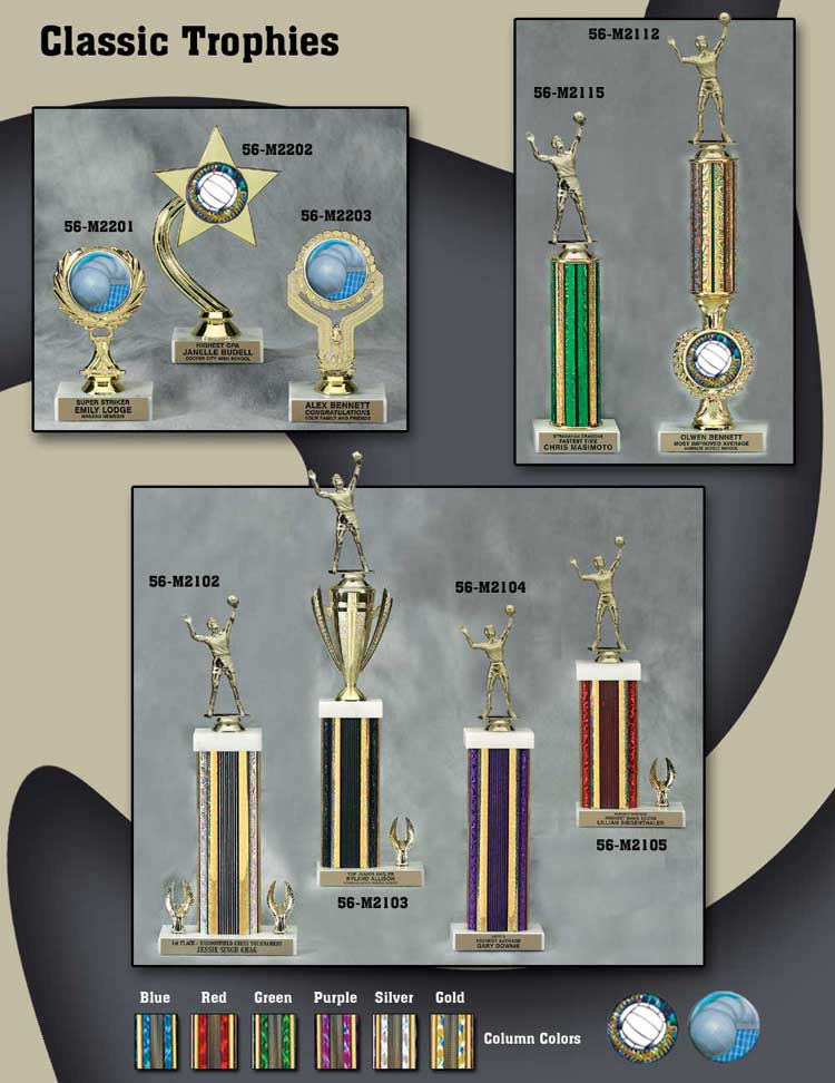 Volleyball Awards