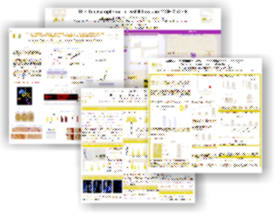 posters
