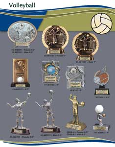 Volleyball Awards