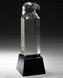 Picture of Crystal Eagle Award