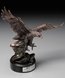 Picture of Ferocity Eagle Award