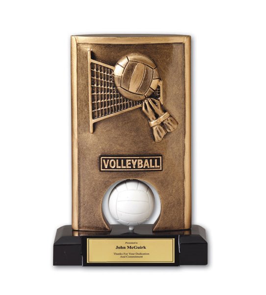 Picture of Spinner Volleyball Award