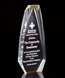Picture of Gold Distinction Obelisk Award