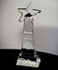 Picture of Top Star Crystal Award