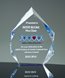 Picture of Spectra Blue Diamond Award