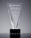 Picture of Crystal Triumph Award