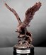Picture of Tradition Eagle Award
