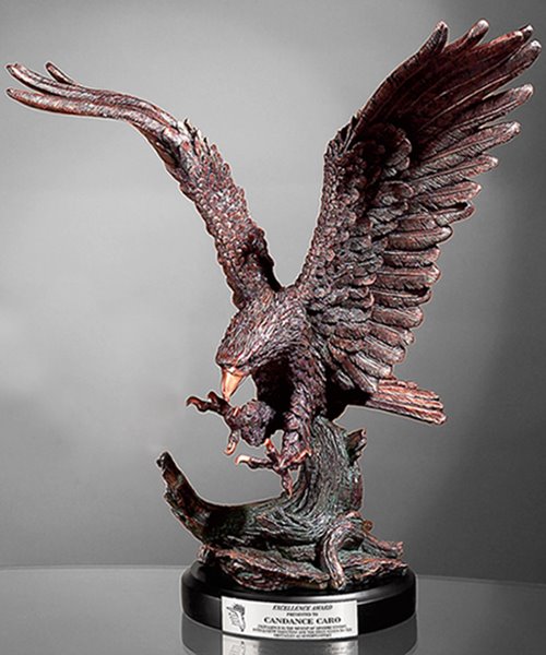 Picture of Eagle Landing Award