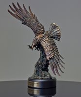 Picture of Sky Master Eagle Award