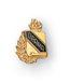 Picture of Drama Lapel Pin