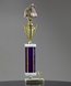 Picture of Bible & Cross Trophy