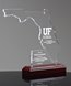 Picture of State of Florida Acrylic Award