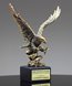 Picture of Foremost Eagle Award