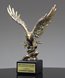 Picture of Foremost Eagle Award