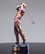 Picture of Golf Champion Award