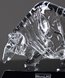 Picture of Crystal Bull Award
