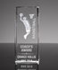 Picture of Collegiate Series Basketball 3D Crystal Trophy