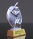 Picture of Motion-X Silver Stone Baseball Award