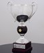 Picture of Trophy Cup Delano