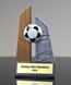 Picture of Skytower Soccer Award