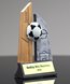Picture of Skytower Soccer Award