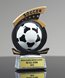 Picture of All-Star Soccer Award