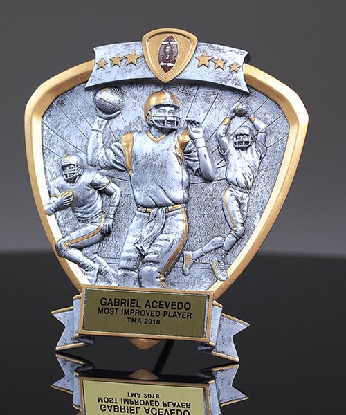 Picture of Silverstone Shield Football Award