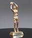 Picture of Classic Basketball Awards