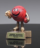 Picture of Little Buddy Basketball
