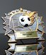 Picture of Silverstone 3-D Soccer Award