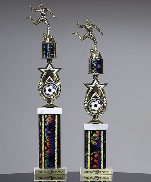 Picture of Contempo Rising Star Trophy