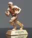 Picture of GR Series Football Award