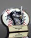 Picture of Burst-Thru Baseball Award