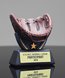 Picture of Signature Series Baseball Glove Award
