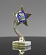 Picture of Shooting Star Trophy