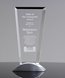 Picture of Crystal Vision Award