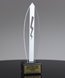 Picture of Surfboard Acrylic Award