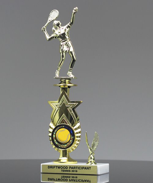 Picture of Star Achievement Trophy