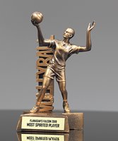 Picture of Billboard Male Volleyball Award