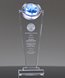 Picture of Global Surge Award