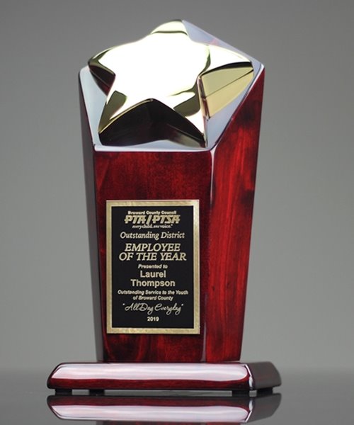 Picture of Star Tower Award