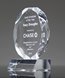 Picture of Jewel Octagon Acrylic Award