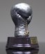 Picture of Silverstone Boxing Glove Award