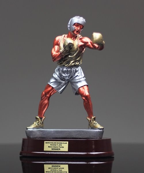 Picture of Gallery Boxing Award