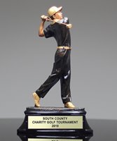 Picture of Golf Swing Award