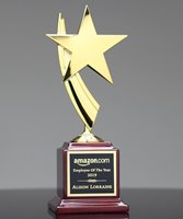 Picture of Rising Star Award