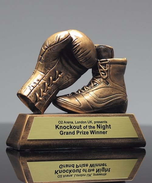 Picture of Golden Glove Boxing Award