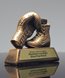 Picture of Golden Glove Boxing Award