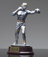 Picture of Silverstone Male Boxing Award